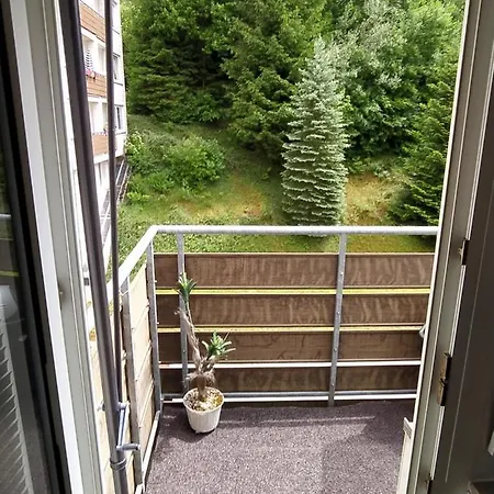 Tiny Flat Baiersbronn