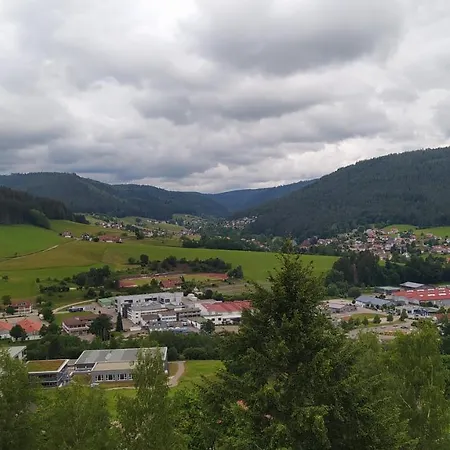 Tiny Flat * Baiersbronn