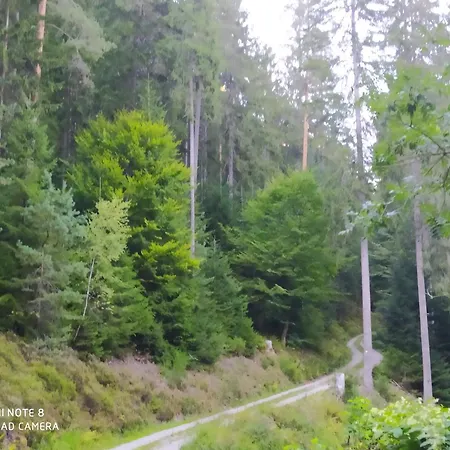 Tiny Flat * Baiersbronn