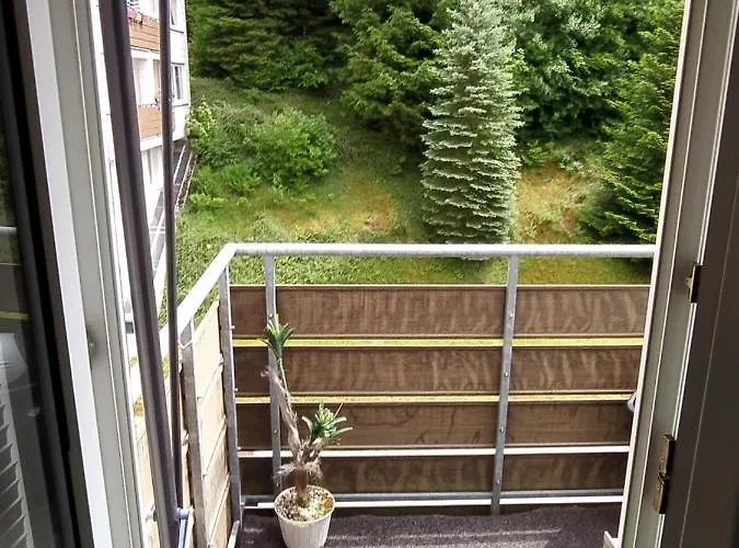 Tiny Flat Baiersbronn