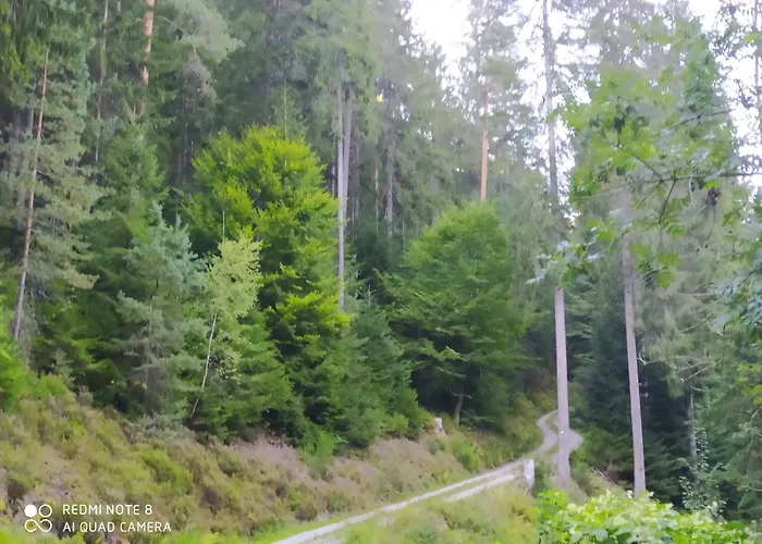 Tiny Flat * Baiersbronn